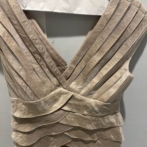 Adrianna Papell Champagne Backless Dress